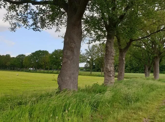 Bed and Breakfast Het Gelders Buitenleven