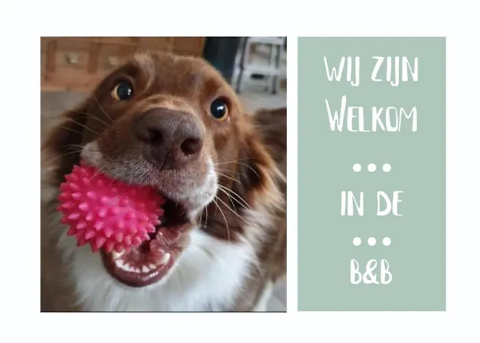 Het Gelders Buitenleven Bed & Breakfast