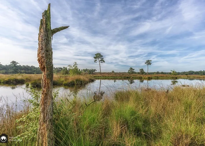 Het Gelders Buitenleven Overasselt
