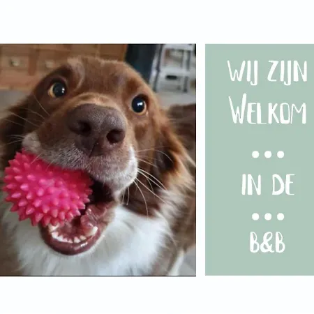 Het Gelders Buitenleven Bed & Breakfast