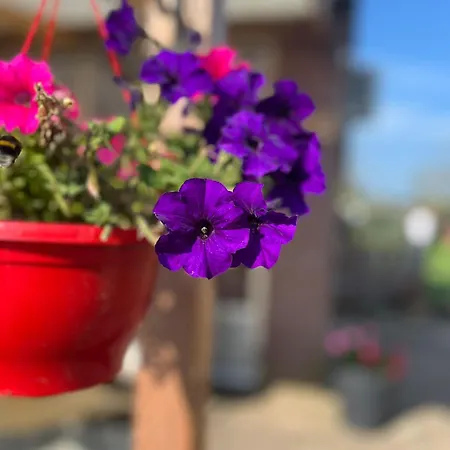 Het Gelders Buitenleven 4* Overasselt