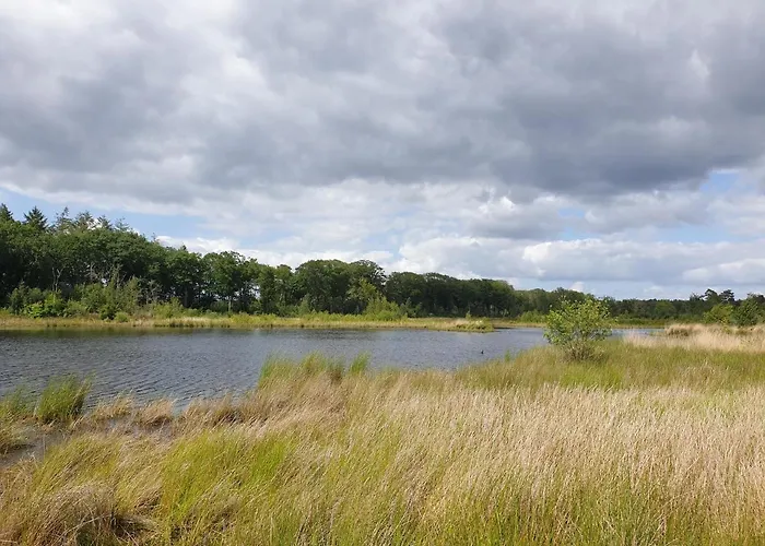 Het Gelders Buitenleven Oda ve Kahvaltı 4*